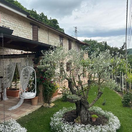 B&B Il Poggetto Serra SantʼAbbondio 외부 사진