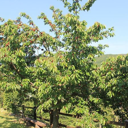B&B Il Poggetto Serra SantʼAbbondio 외부 사진