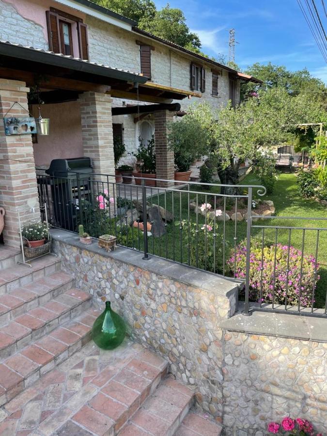 B&B Il Poggetto Serra SantʼAbbondio 외부 사진