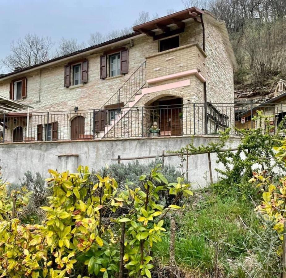 B&B Il Poggetto Serra SantʼAbbondio 외부 사진