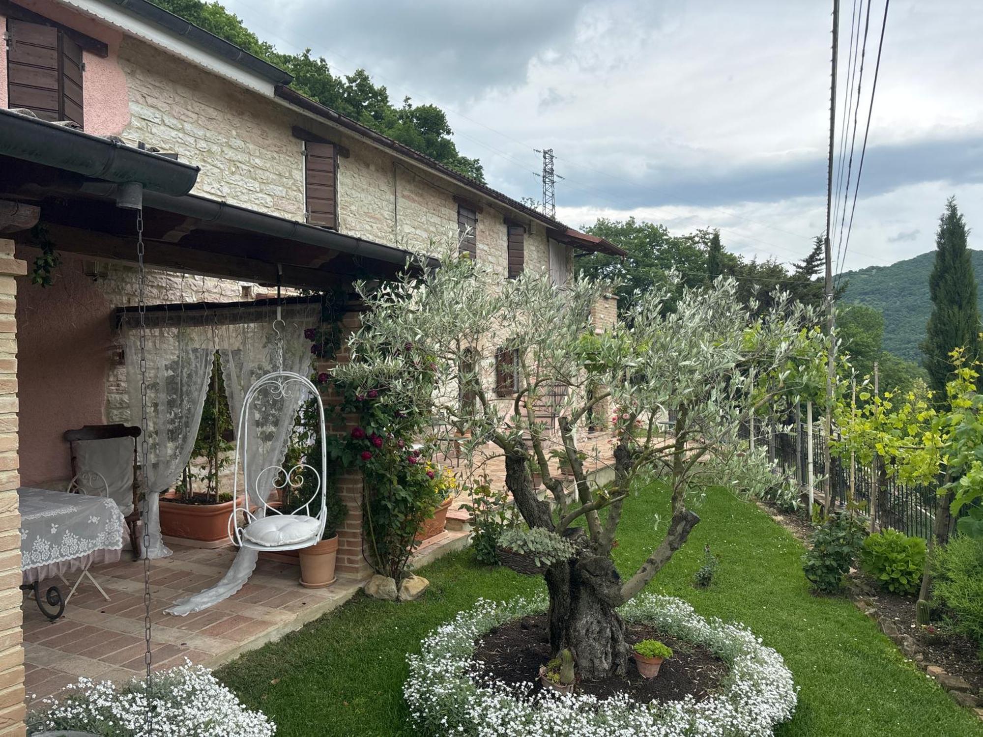 B&B Il Poggetto Serra SantʼAbbondio 외부 사진