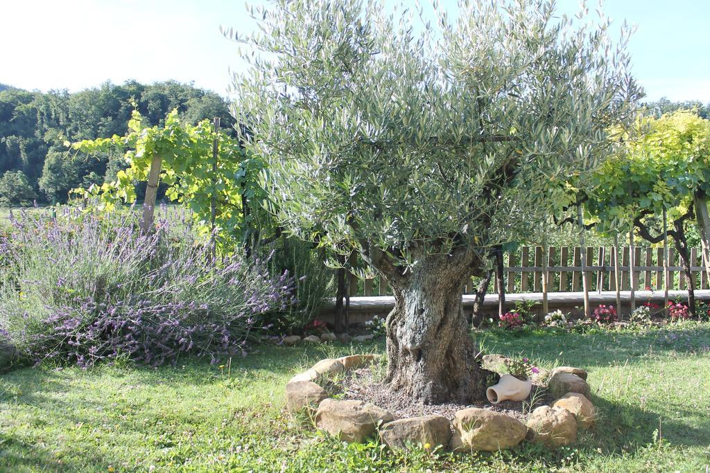 B&B Il Poggetto Serra SantʼAbbondio 외부 사진
