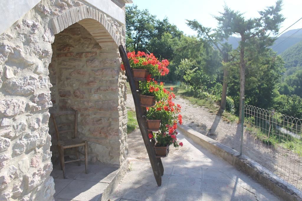 B&B Il Poggetto Serra SantʼAbbondio 외부 사진