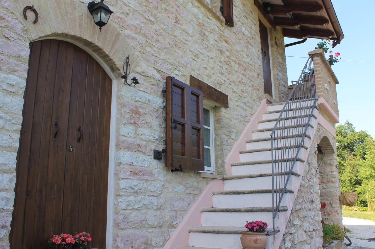 B&B Il Poggetto Serra SantʼAbbondio 외부 사진