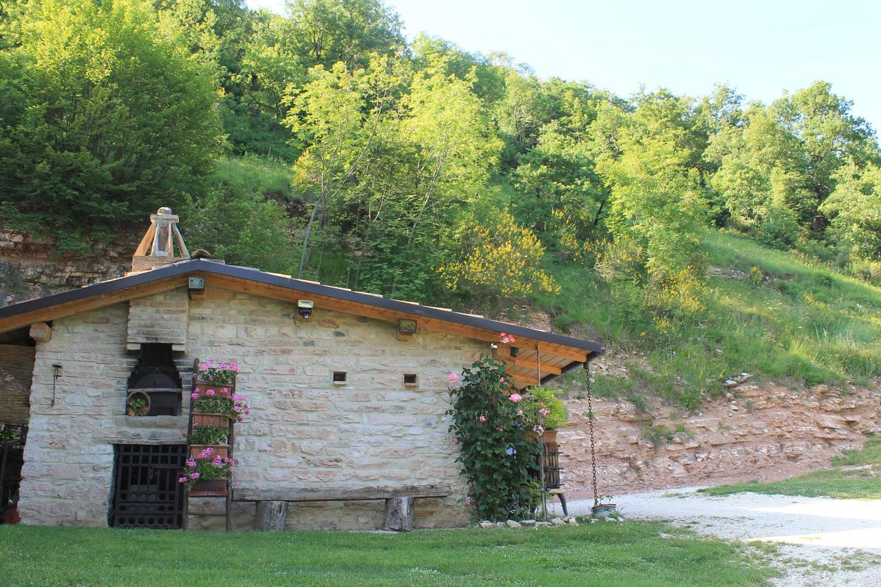 B&B Il Poggetto Serra SantʼAbbondio 외부 사진