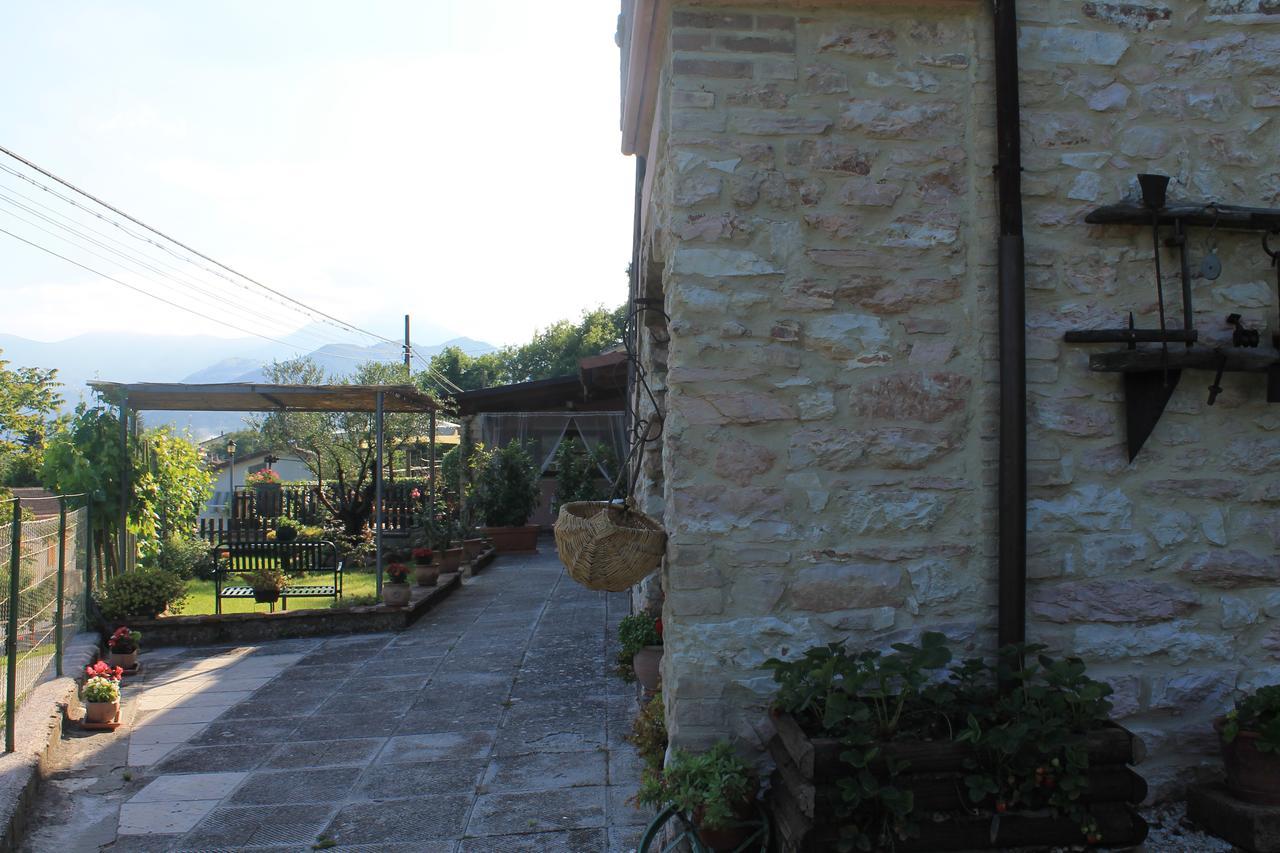 B&B Il Poggetto Serra SantʼAbbondio 외부 사진
